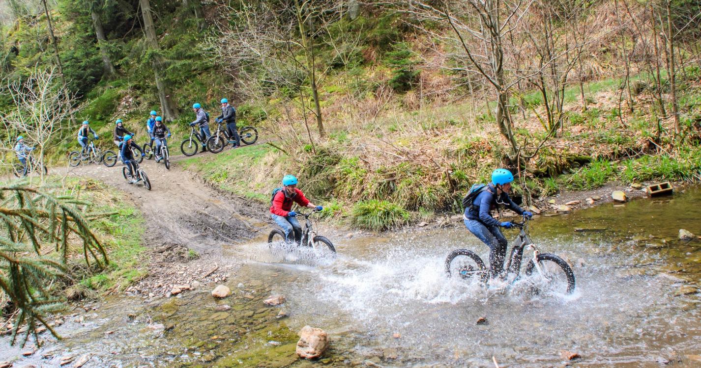 ardenneactivity