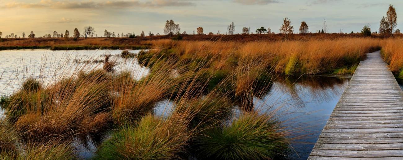 parc naturel hautes fagnes-eifel