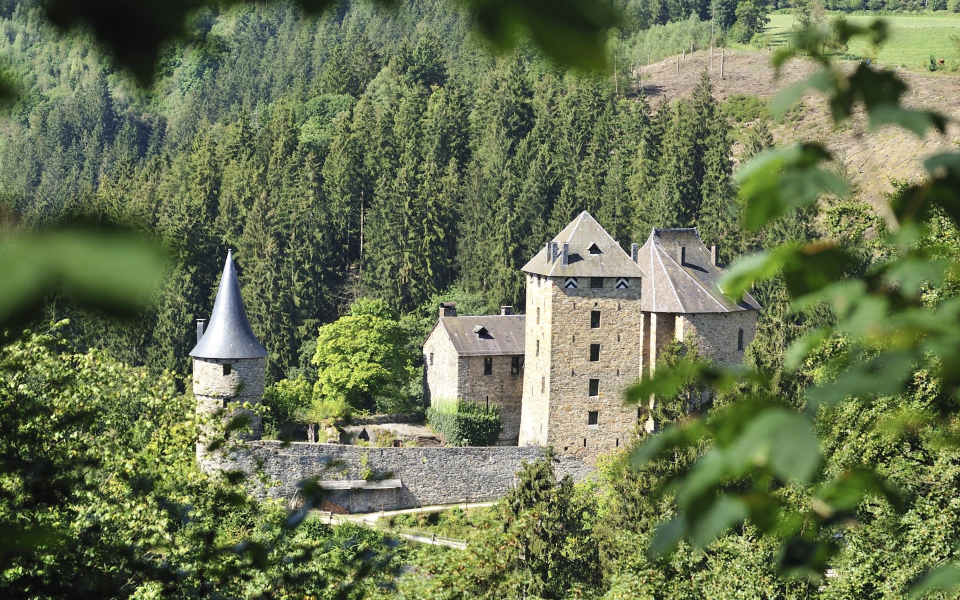 Château de REINHARDSTEIN ET SES ALENTOURS